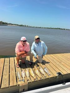 Fresh caught redfish displayed on wooden dock in Matagorda TX after successful fishing trip