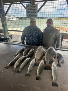 Speckled trout fishing catch displayed on cleaning station in Matagorda TX