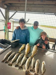Fresh caught speckled trout and redfish displayed on cleaning table at Matagorda TX fishing dock