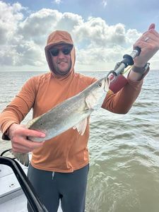 Fresh caught fish displayed on fishing boat in Matagorda TX waters