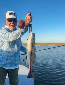 Redfish caught in Matagorda, Texas during fishing and hunting