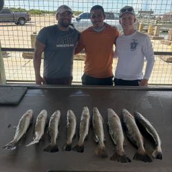 Six spotted weakfish caught while fishing in TX