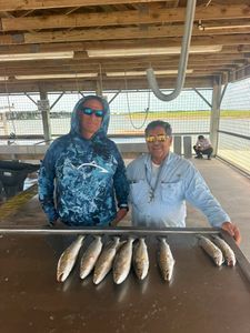 Speckled trout fishing catch displayed on cleaning table at Matagorda TX fishing dock