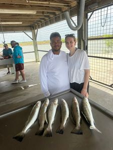 6 spotted weakfish caught in TX
