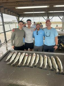 Nine Spotted Weakfish caught in Matagorda, Texas while fishing and hunting.
