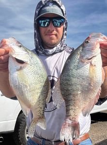 Big slab crappies! 🎣 #FishingLife