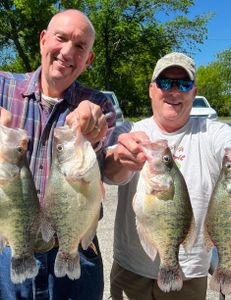 Behold the Big White Crappies!