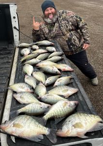 Unveiling the Bountiful Crappie Harvest!