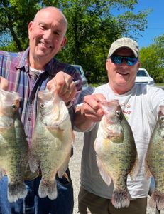 3 white crappie fish caught in Cleveland