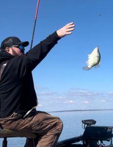 Captivating White Crappie Catch: Take a Look!