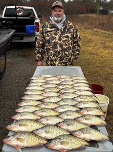 Crappie limit success! 🎣 