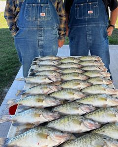 Casting bliss in Oklahoma waters.