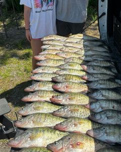 6 great fish caught while fishing in OK