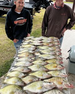 7 fishing catch in Cleveland
