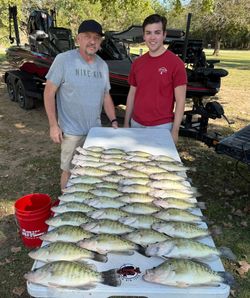 8 white crappie fish caught in Cleveland, Ohio