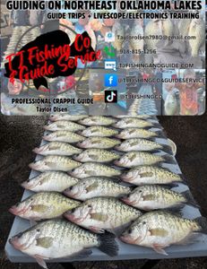 11 white crappie fish caught in Cleveland