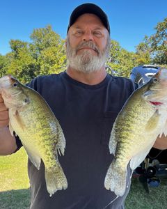 Two crappie fish caught in Cleveland