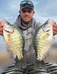Two white crappie fish caught in Cleveland