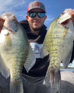 Crappie Hooked on Oklahoma's fishing spots!