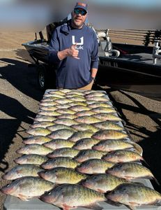 Five white crappie fish caught in Cleveland