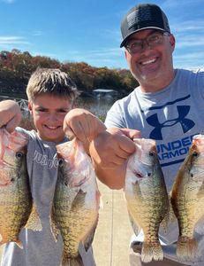 Four white crappie fish caught by two people in Cleveland