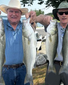 Four striped bass, a great catch in Cleveland