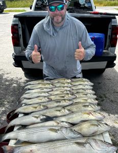 Striped bass caught in Cleveland