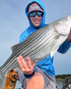 Striped bass caught by angler in Cleveland