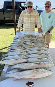 Three huge Striped Bass landed while jigging in clear conditions!