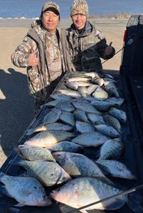 4 great-sized fish caught while fishing in OK
