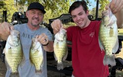4 white crappie fish caught in Cleveland