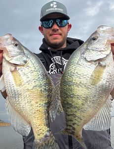 Two white crappie fish caught in Cleveland