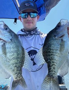 Two white crappie fish caught in OK