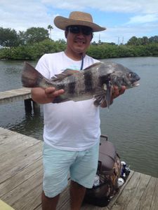 Angler with a black drum fish at New Smyrna Beach