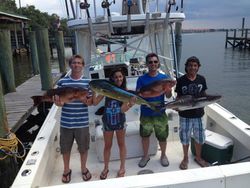 Four cobia fish caught while fishing in Florida
