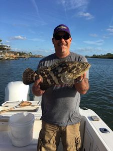 Malabar grouper fishing in FL