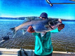 South Carolina's Top Fishing Charter