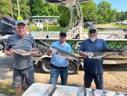 Hybrid and Striped Bass SC