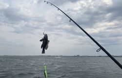A scenic view of the Longport coastline during a fishing tour