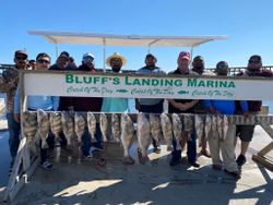 Black Drum caught from one of our trips, TX 2022