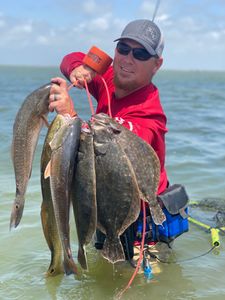 3 Pacific Halibut caught fishing in TX