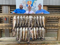 19 black drum and redfish caught fishing in TX