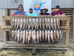 13 redfish caught in Corpus Christi