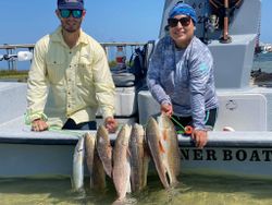 5 redfish caught on a fishing trip in TX