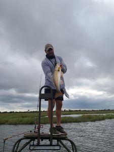 Beautiful marsh views and Redfish.