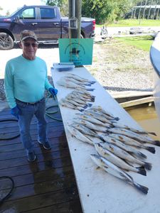  I put Capt.Mike on a few trout this morning 