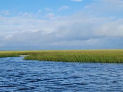Another great day on the water.