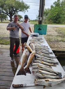 Redfish, 4 of them, caught in LA