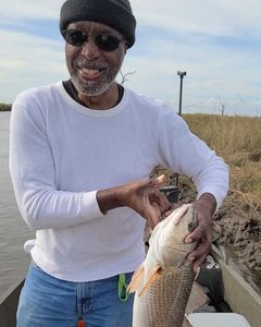 Redfish caught on fishing trip in LA
