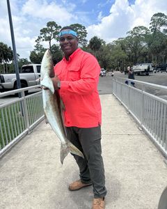 A lone angler fishing in the waters of Spring Hill